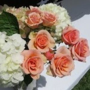 Meet your Posher, Dora